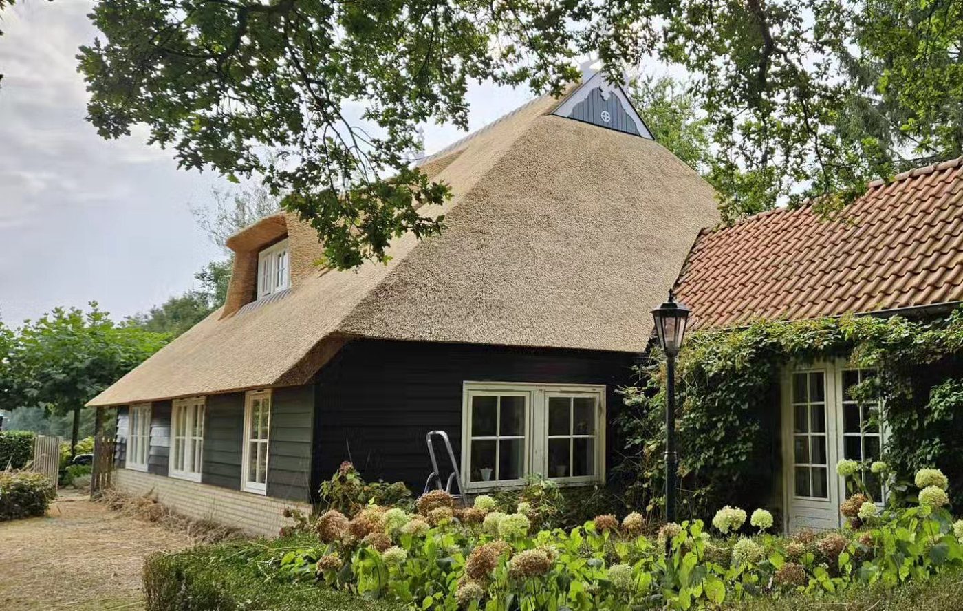 Vakkundig aangebracht rieten dak op een Nederlandse boerderij